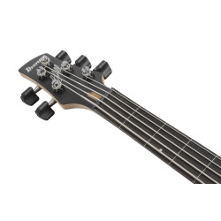 IBANEZ GWB25TH SWF GARY WILLIS SIGNATURE BASS