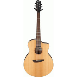 IBANEZ PA230E NSL AC GUITAR
