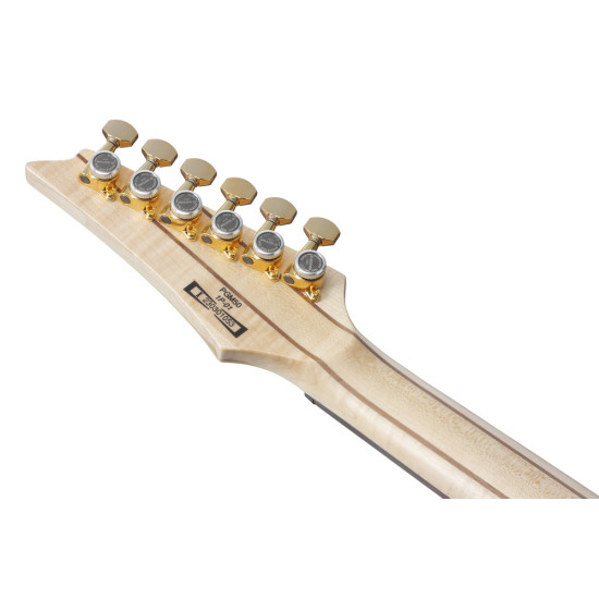 IBANEZ PGM50 BK PAUL GILBERT SIGNATURE MODEL INC GIG BAG IBANEZ PGM50 BK PAUL GILBERT SIGNATURE MODEL INC GIG BAG
