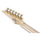 IBANEZ PGM50 BK PAUL GILBERT SIGNATURE MODEL INC GIG BAG IBANEZ PGM50 BK PAUL GILBERT SIGNATURE MODEL INC GIG BAG