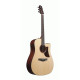 IBANEZ AAD170CE LGS ADVANCED ACOUSTIC