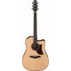 IBANEZ AAD300CE LGS ADVANCED ACOUSTIC 