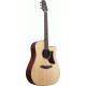 IBANEZ AAD400CE LGS PLATINUM SERIES ACOUSTIC 