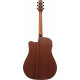 IBANEZ AAD50CE LG AC GUITAR IBANEZ AAD50CE LG AC GUITAR