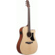 IBANEZ AAD50CE LG AC GUITAR IBANEZ AAD50CE LG AC GUITAR