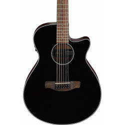 Ibanez AEG5012 BKH Acoustic Guitar
