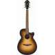 IBANEZ AEG50 DHH ACOUSTIC GUITAR IBANEZ AEG50 DHH ACOUSTIC GUITAR
