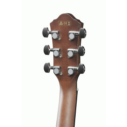 Ibanez AEG50 DHH Acoustic Guitar