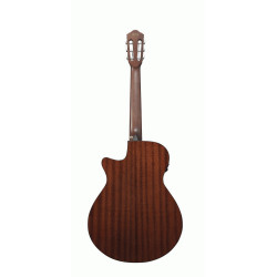 IBANEZ AEG50N BKH NYLON ACOUSTIC GUITAR
