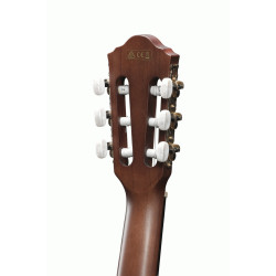 Ibanez AEG50N NT Acoustic Guitar