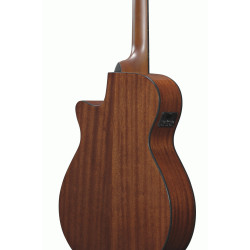 Ibanez AEG70 TCH Electric Guitar
