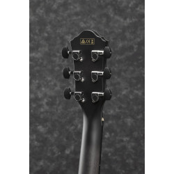 Ibanez AEWC400 TKS Electric Guitar