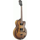 IBANEZ AF55 TF ARTCORE GUITAR