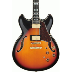 The Ibanez AS113 BS Electric Guitar W/Case