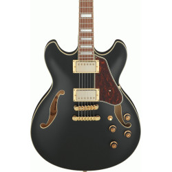 Ibanez AS73G BKF Electric Guitar