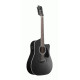 IBANEZ AW8412CE WK 12 STR AC GUTIAR