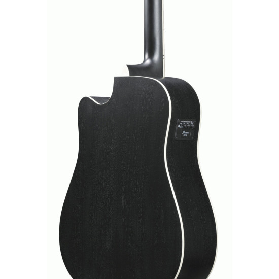 IBANEZ AW8412CE WK 12 STR AC GUTIAR