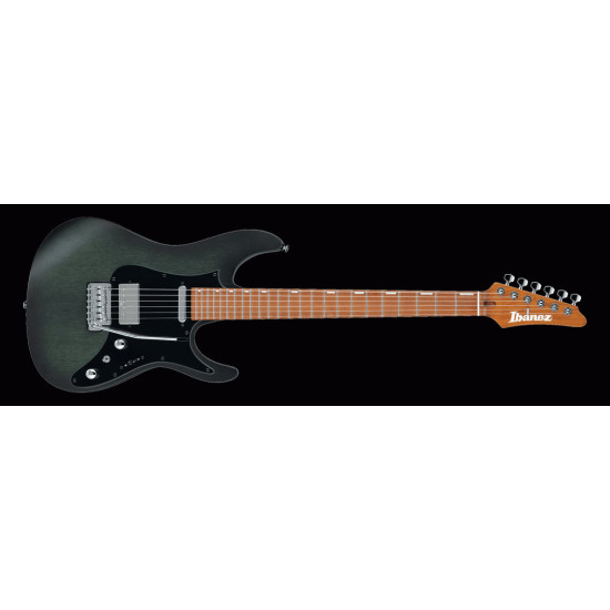 IBANEZ EH10 TGM ERICK HANSEL SIGNATURE