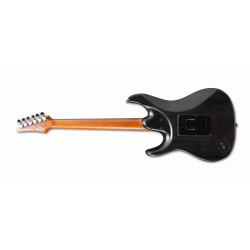 IBANEZ EH10 TGM ERICK HANSEL SIGNATURE