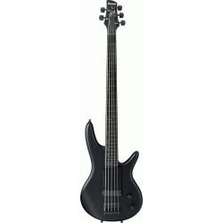 IBANEZ GWB35 BKF GARY WILLIS SIGNATURE