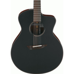 Ibanez JGM10 BSN JON GOMM Acoustic Guitar W/Case
