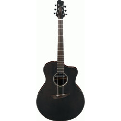 IBANEZ JGM5 BSN JON GOMM AC GUITAR