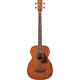IBANEZ PCBE12MH OPN ACOUSTIC BASS IBANEZ PCBE12MH OPN ACOUSTIC BASS