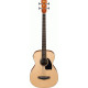 IBANEZ PCBE12 OPN ACOUSTIC BASS IBANEZ PCBE12 OPN ACOUSTIC BASS