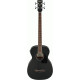 IBANEZ PCBE14MH WK 