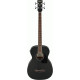 IBANEZ PCBE14MH WK 