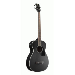 Ibanez PCBE14MH WK Acoustic Bass Guitar