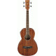 IBANEZ PNB14E OPN ACOUSTIC BASS GUITAR IBANEZ PNB14E OPN ACOUSTIC BASS GUITAR