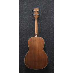 IBANEZ PNB14E OPN ACOUSTIC BASS GUITAR