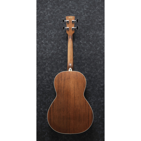 IBANEZ PNB14E OPN ACOUSTIC BASS GUITAR IBANEZ PNB14E OPN ACOUSTIC BASS GUITAR