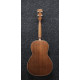 IBANEZ PNB14E OPN ACOUSTIC BASS GUITAR IBANEZ PNB14E OPN ACOUSTIC BASS GUITAR