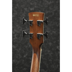 Ibanez PNB14E OPN Acoustic Bass Guitar