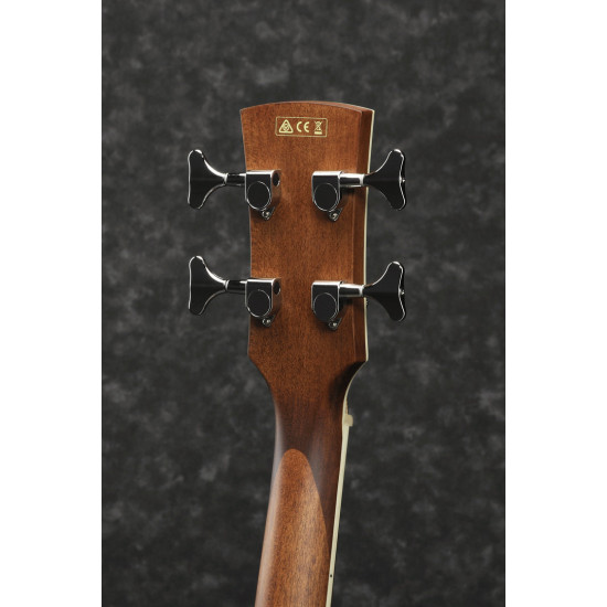 IBANEZ PNB14E OPN ACOUSTIC BASS GUITAR IBANEZ PNB14E OPN ACOUSTIC BASS GUITAR