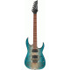 IBANEZ RG421PB CHF ELECTRIC GUITAR LTD IBANEZ RG421PB CHF ELECTRIC GUITAR LTD