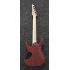 IBANEZ RG421PB CHF ELECTRIC GUITAR LTD IBANEZ RG421PB CHF ELECTRIC GUITAR LTD