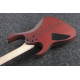 IBANEZ RG421PB CHF ELECTRIC GUITAR LTD IBANEZ RG421PB CHF ELECTRIC GUITAR LTD