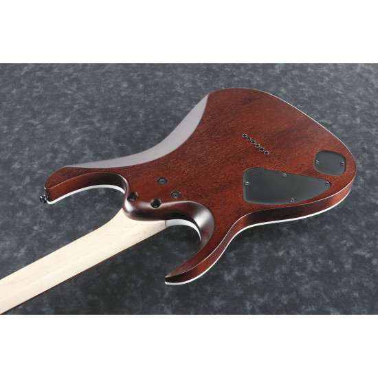 Ibanez RGA42FM DEF Electric Guitar