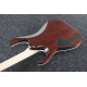 Ibanez RGA42FM DEF Electric Guitar