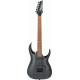 Ibanez RGA42FM TGF Electric Guitar