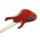 Ibanez RGA42FM TGF Electric Guitar