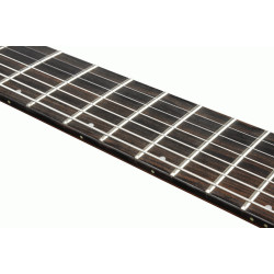 Ibanez RGD71ALMS BAM Electric Guitar