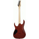 Ibanez RGR221PA AQB Gio Electric Guitar