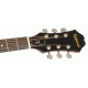 Epiphone Songmaker DR-100 Acoustic Guitar Vintage Sunburst