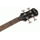 Epiphone Viola Bass Vintage Sunburst