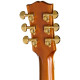 Epiphone Hummingbird Deluxe EC Autumn Burst