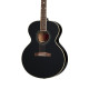 Epiphone J-180 LS Inc Hard Case Ebony